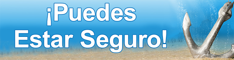 Puedes Estar Seguro
