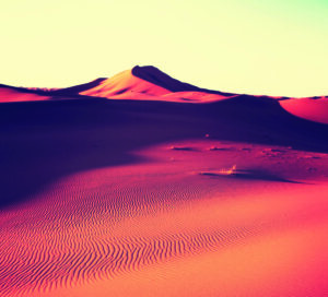 sahara desert