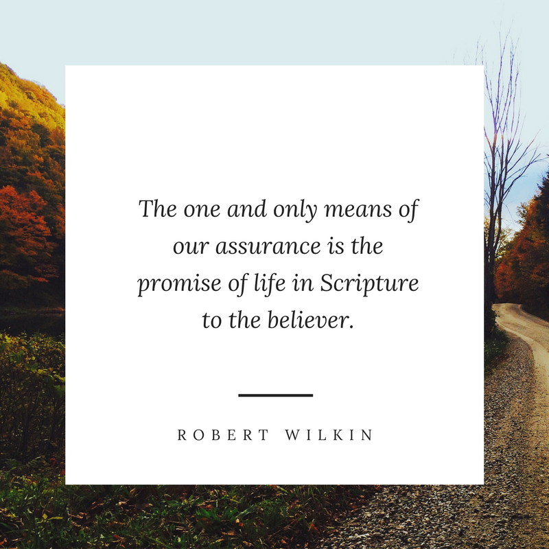 The one and only means of our assurance is the promise of life in Scripture to the believer.