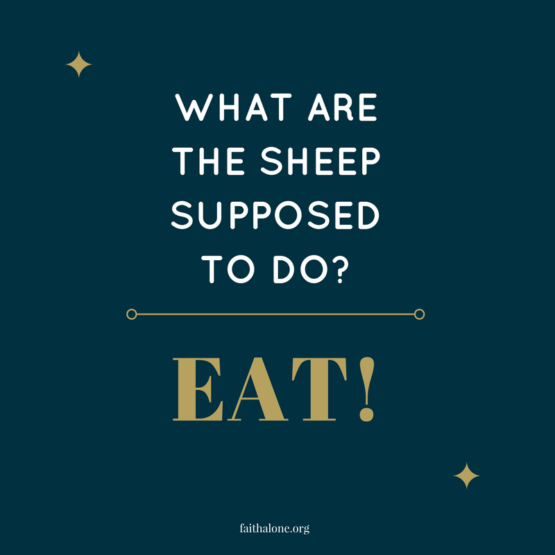 what are the sheep supposed to do?