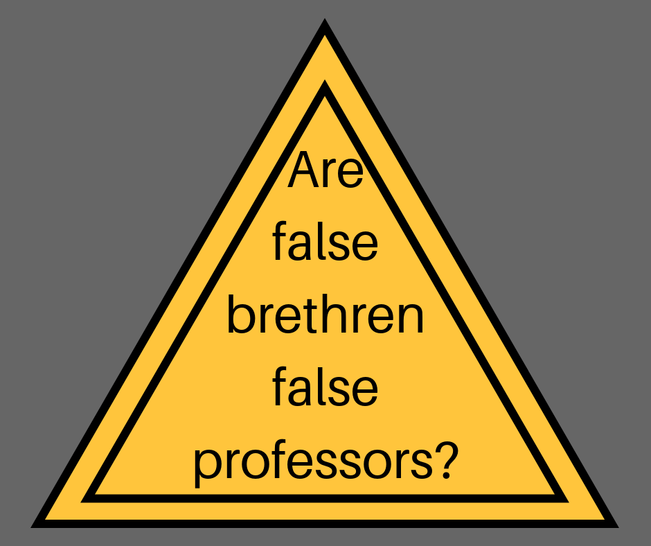 Are false brethren false professors_