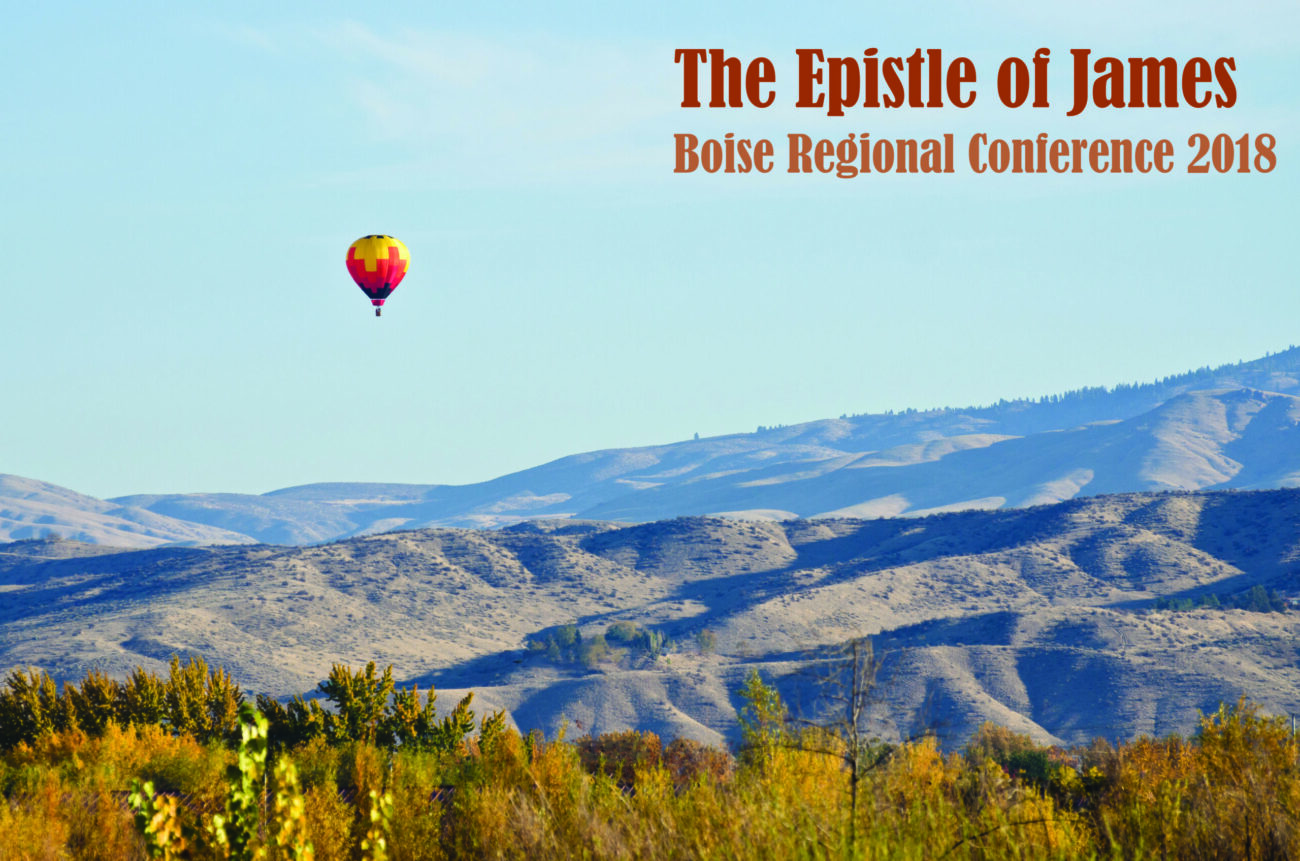 Hot Air Balloon Flying Over The Foothills