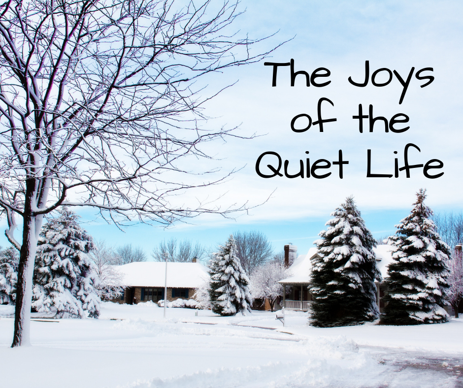 The Joys of the Quiet Life