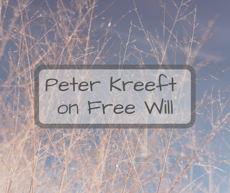 Peter Kreeft on Free Will