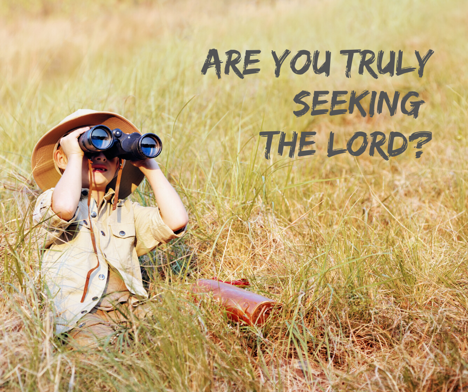 Are You Truly Seeking the Lord_