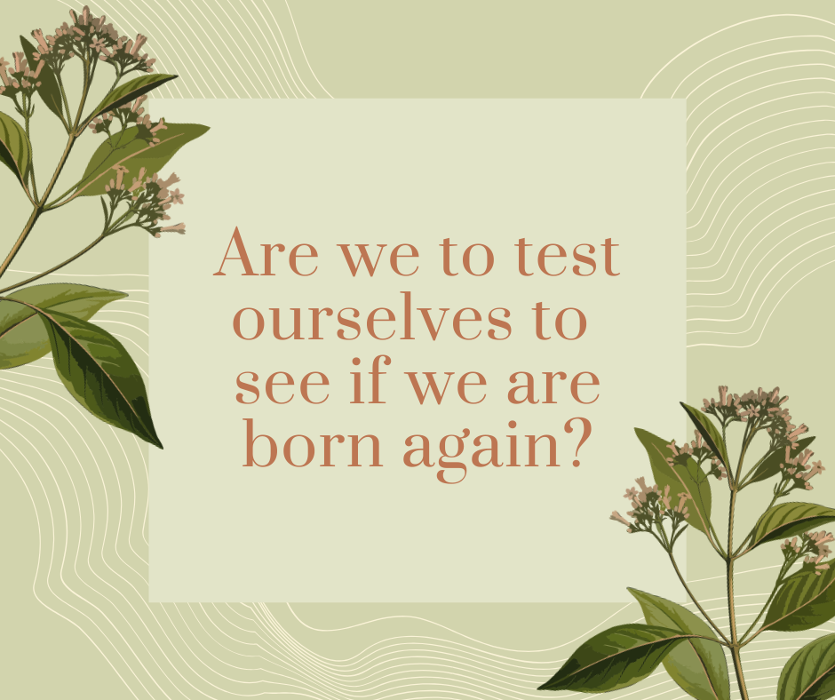 Are we to test ourselves to see if we are born again_