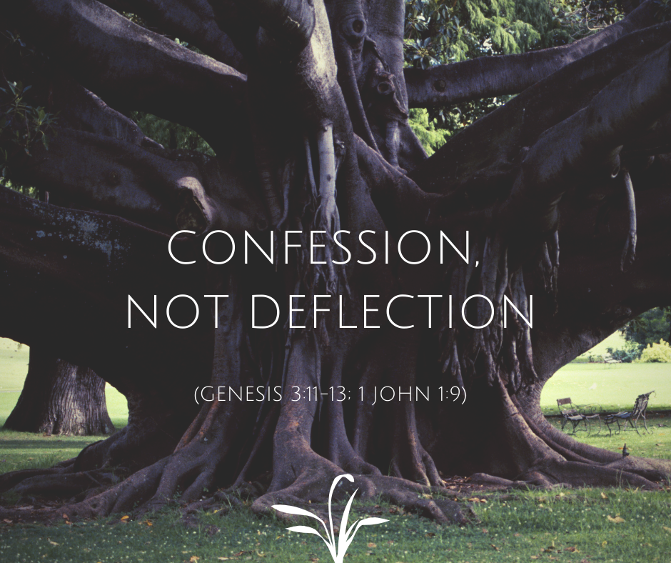 Confession, Not Deflection