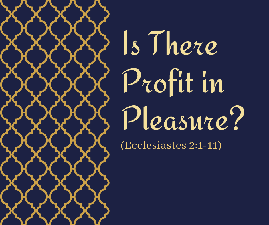 Is There Profit in Pleasure_