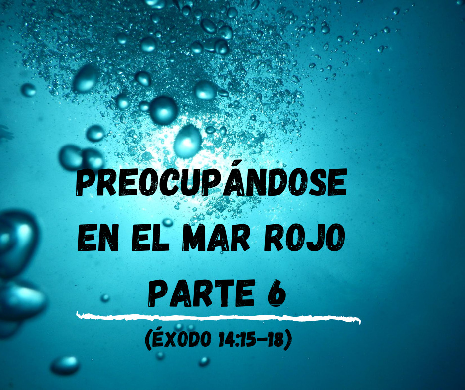 Preocupándose en el Mar Rojo Parte 6