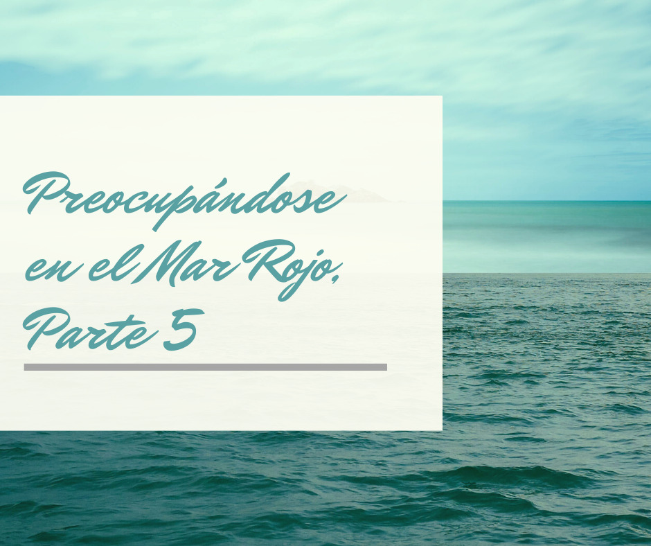 Preocupándose en el Mar Rojo, Parte 5
