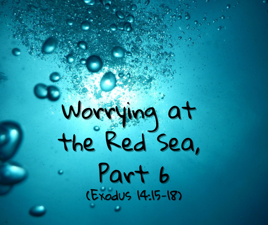 Worrying at the Red Sea, Part 6