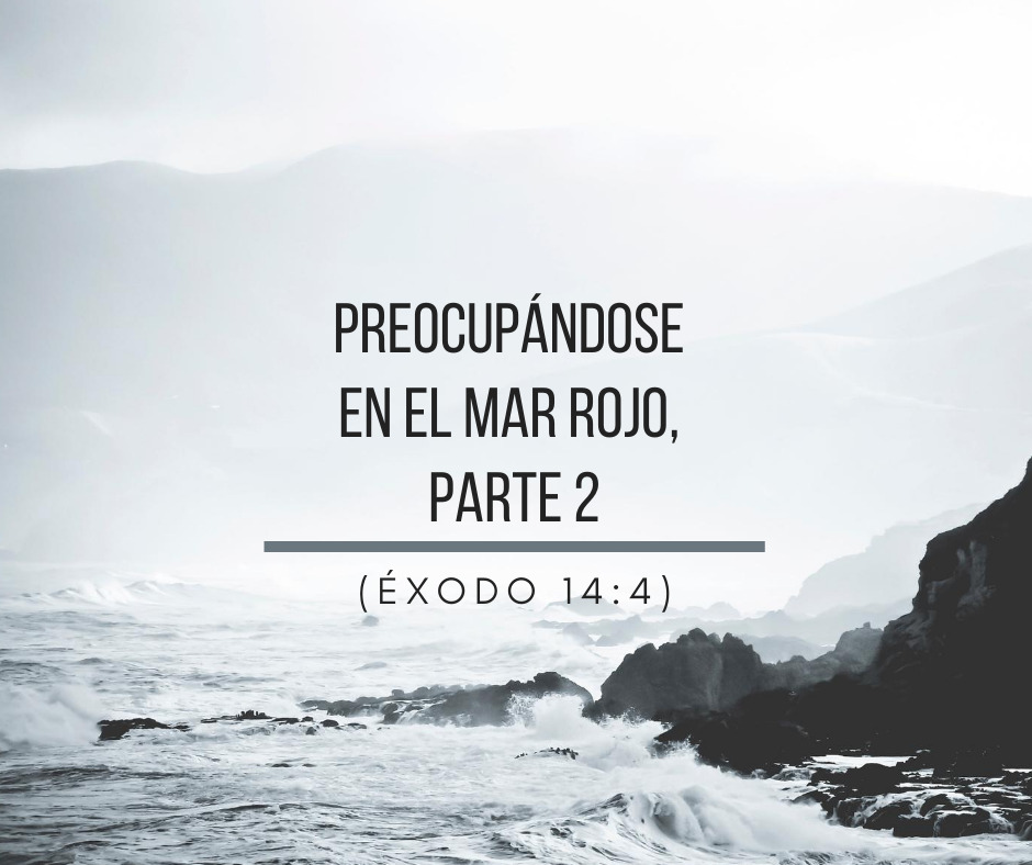 Preocupándose en el Mar Rojo, Parte 2