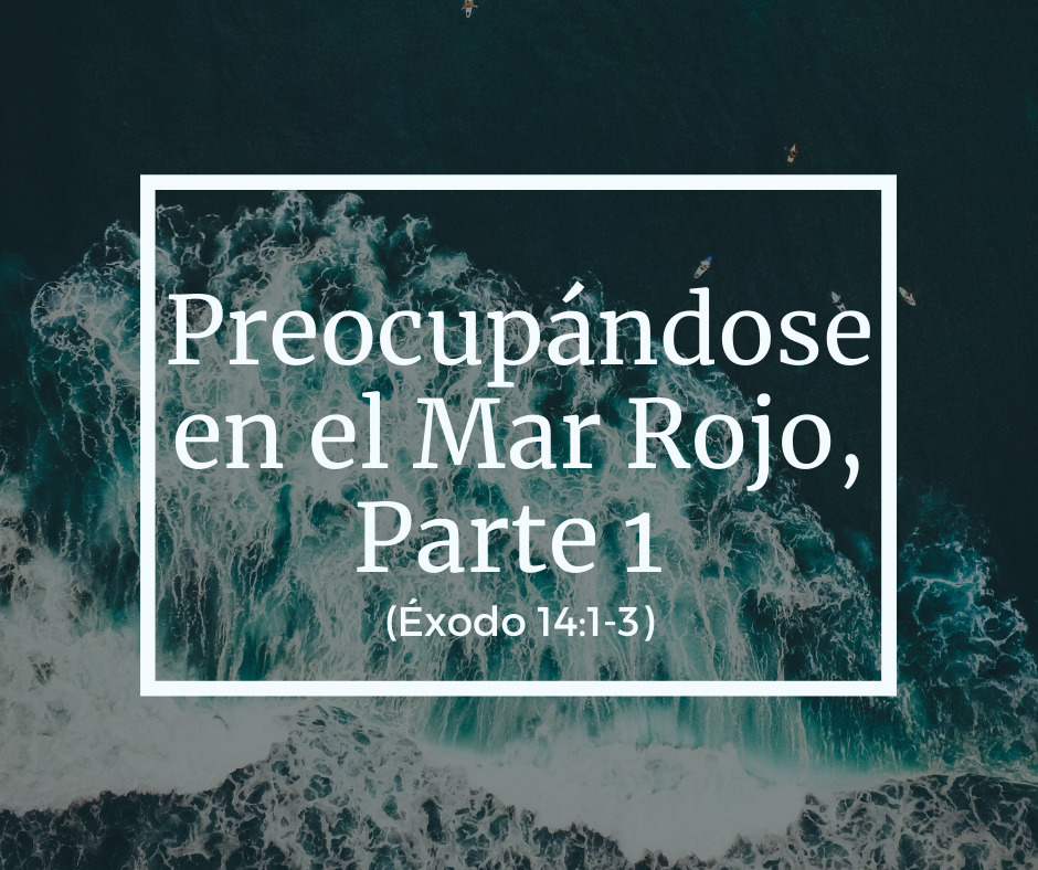 Preocupándose en el Mar Rojo, Parte 1