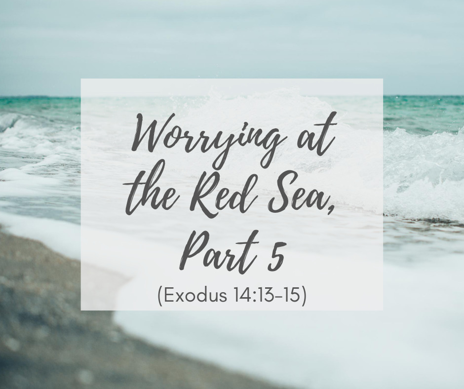 Worrying at the Red Sea, Part 5