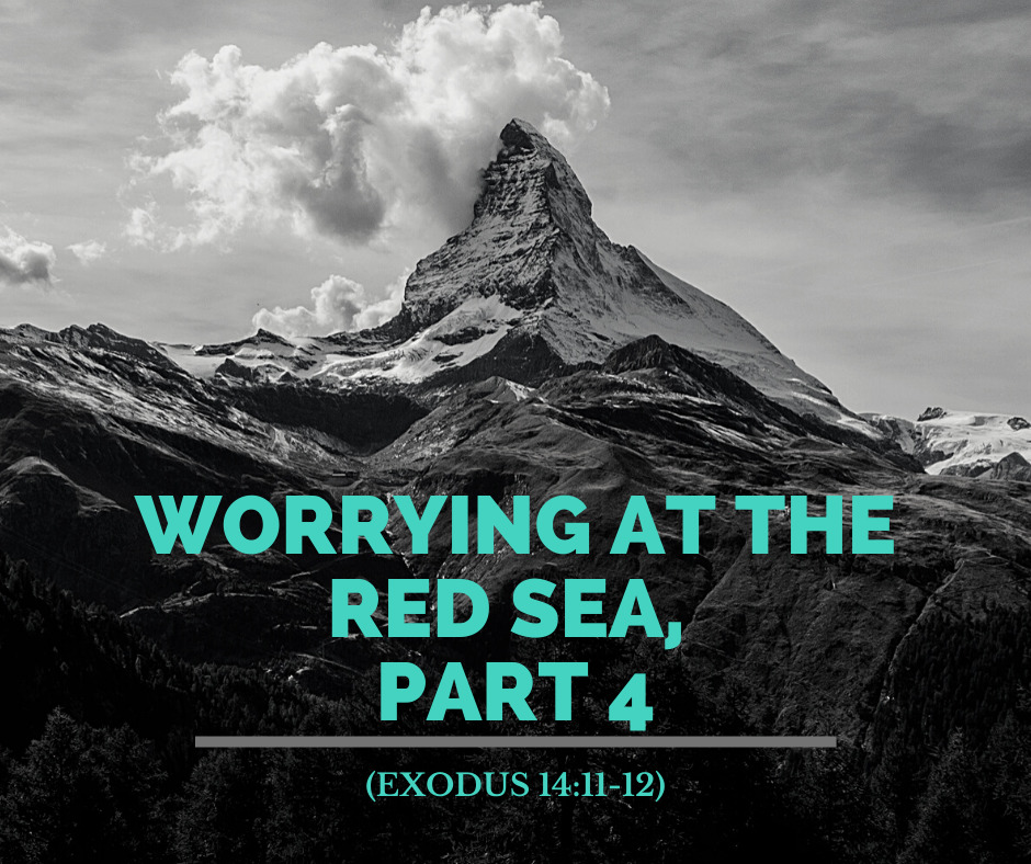 Worrying at the Red Sea, Part 4