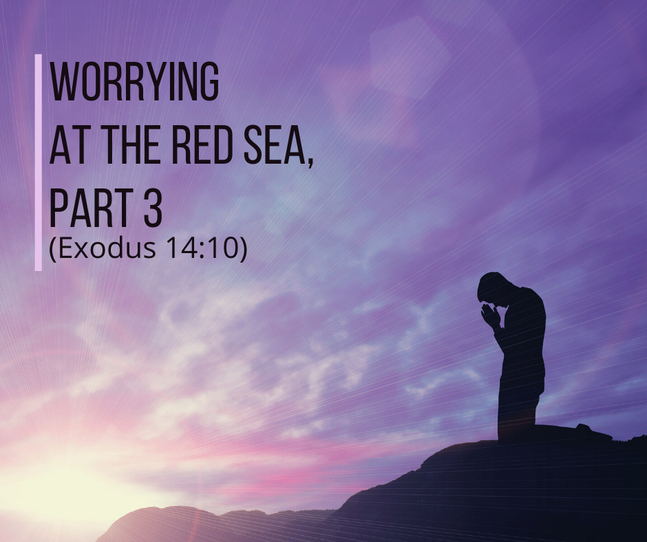 Worrying at the Red Sea, Part 3