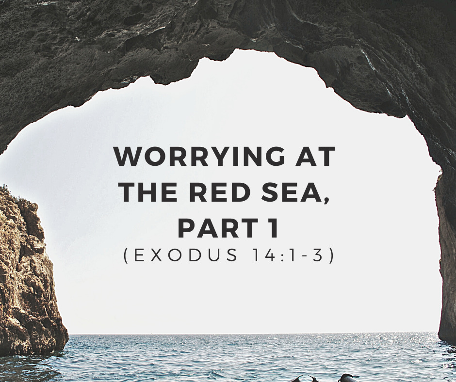 Worrying at the Red Sea, Part 1