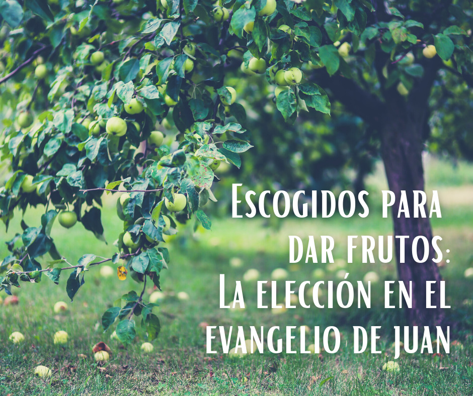Escogidos para dar frutos_ La elección en el evangelio de juan