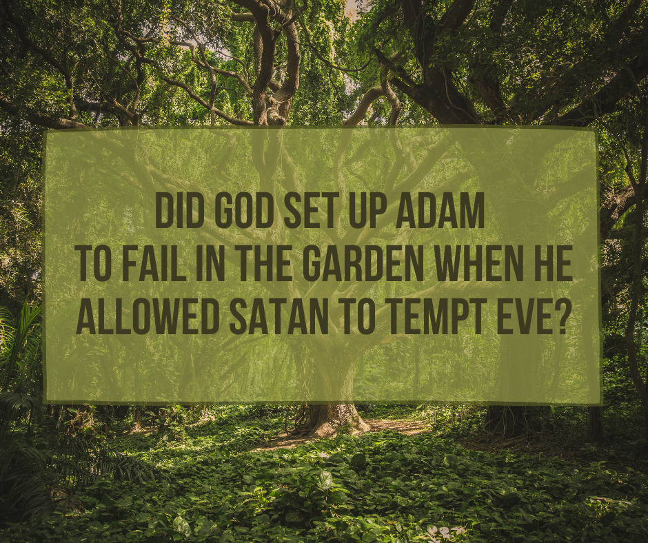 Did God set up Adam to fail in the Garden when He allowed Satan to tempt Eve_