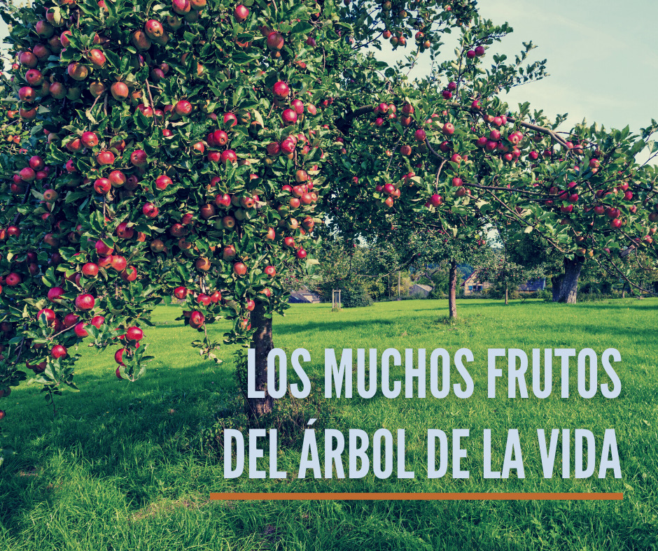 Los muchos frutos del Árbol de la Vida