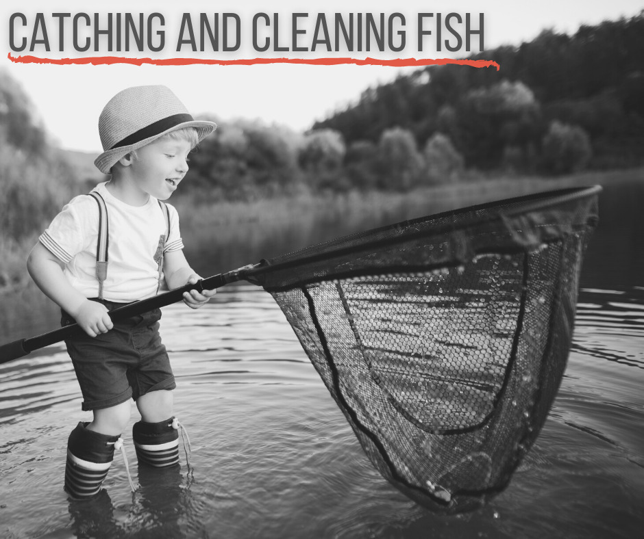 Catching and Cleaning Fish