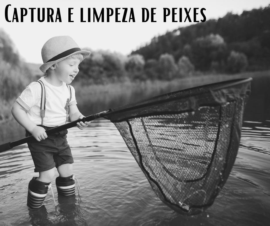 Captura e limpeza de peixes (1)