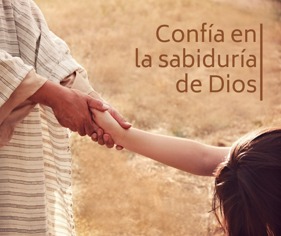 Confía en la sabiduría de Dios