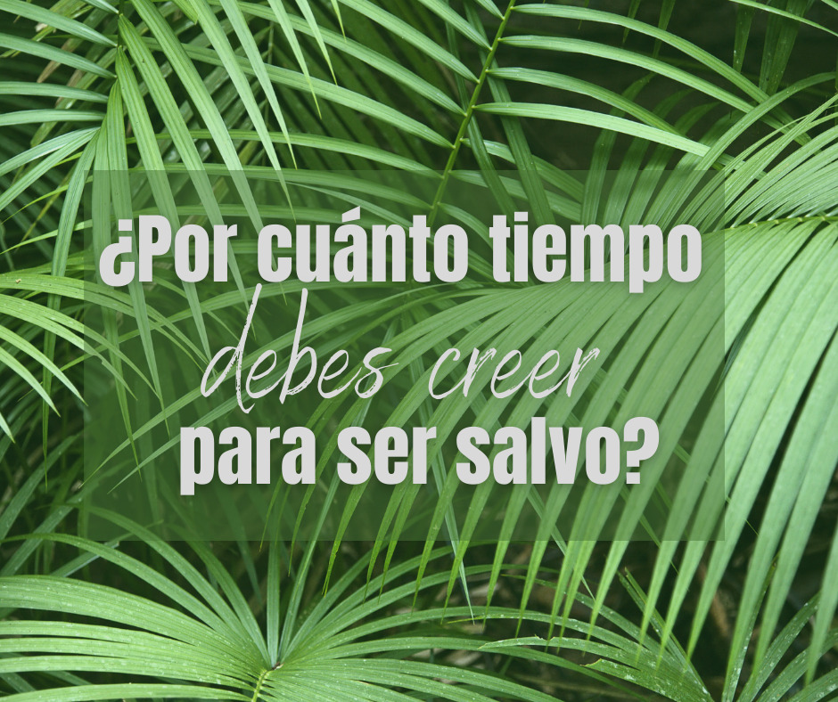 ¿Por cuánto tiempo