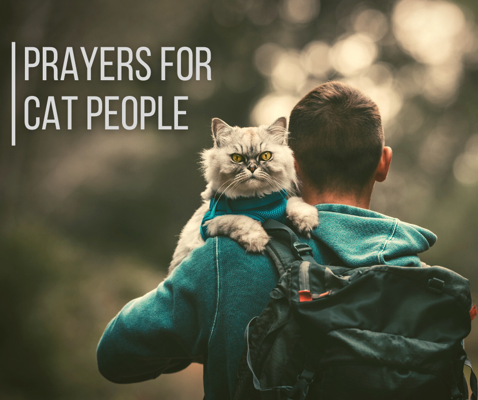 Prayers for Cat People