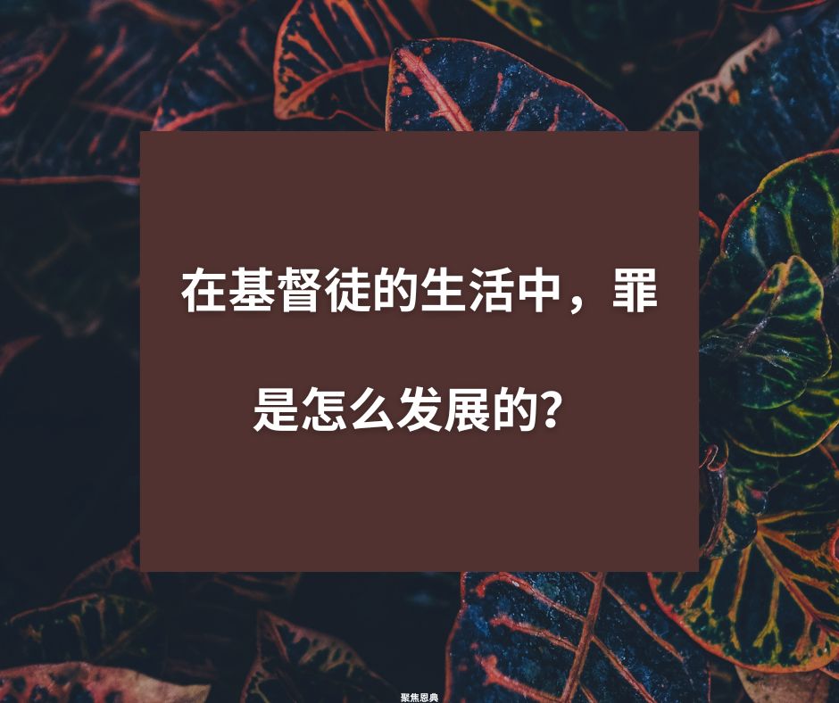 在基督徒的生活中，罪是怎么发展的？