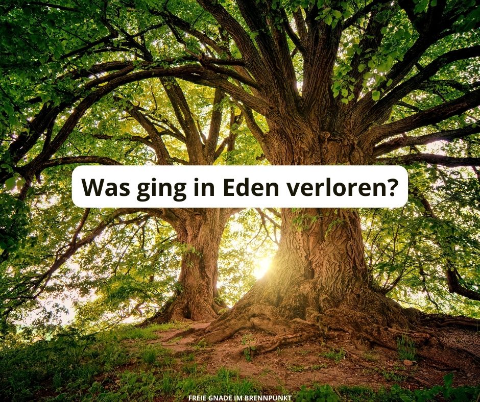 Was ging in Eden verloren
