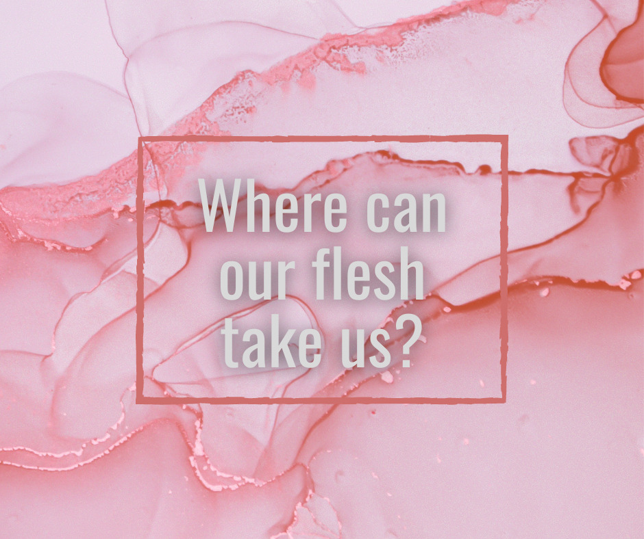 Where can our flesh take us (1)