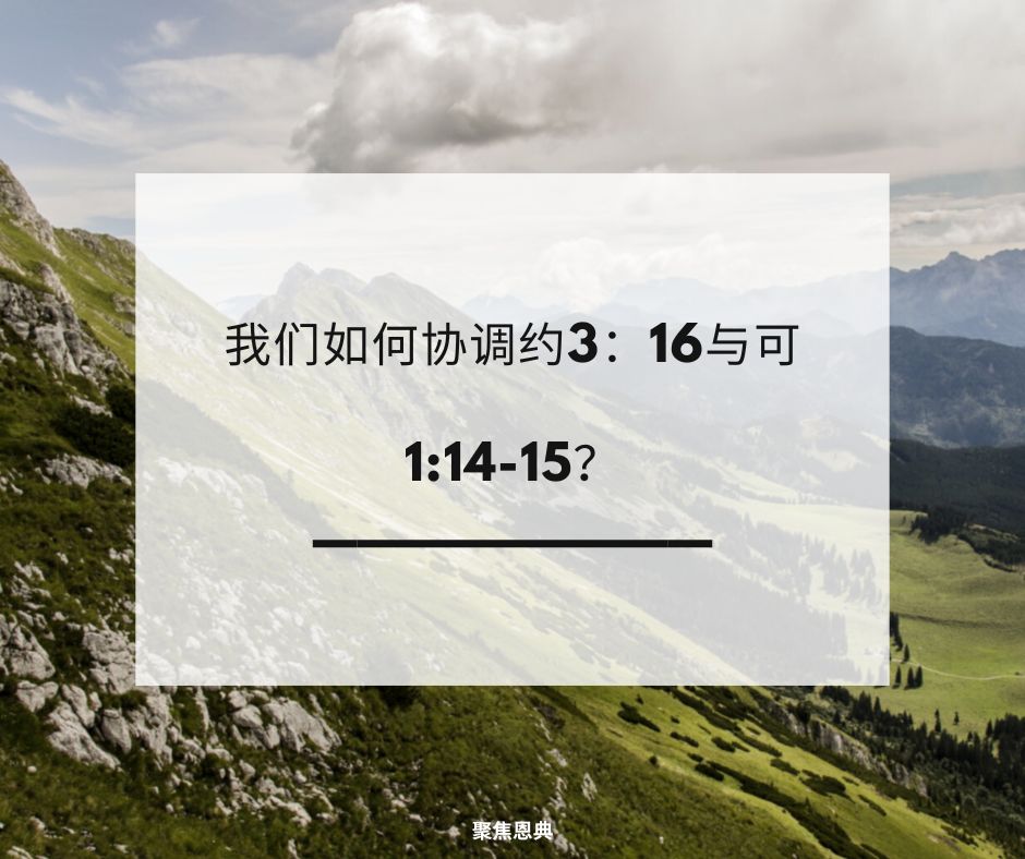 我们如何协调约