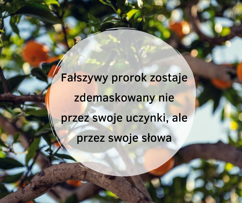 Po ich owocach ich poznacie