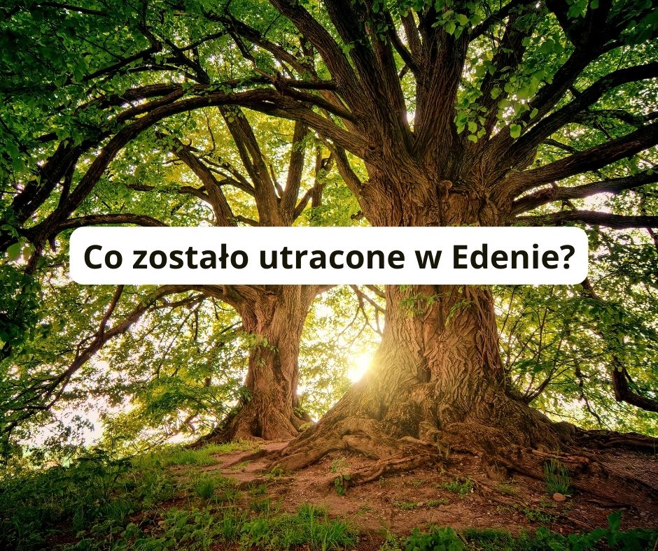 Co zostało utracone w Edenie?