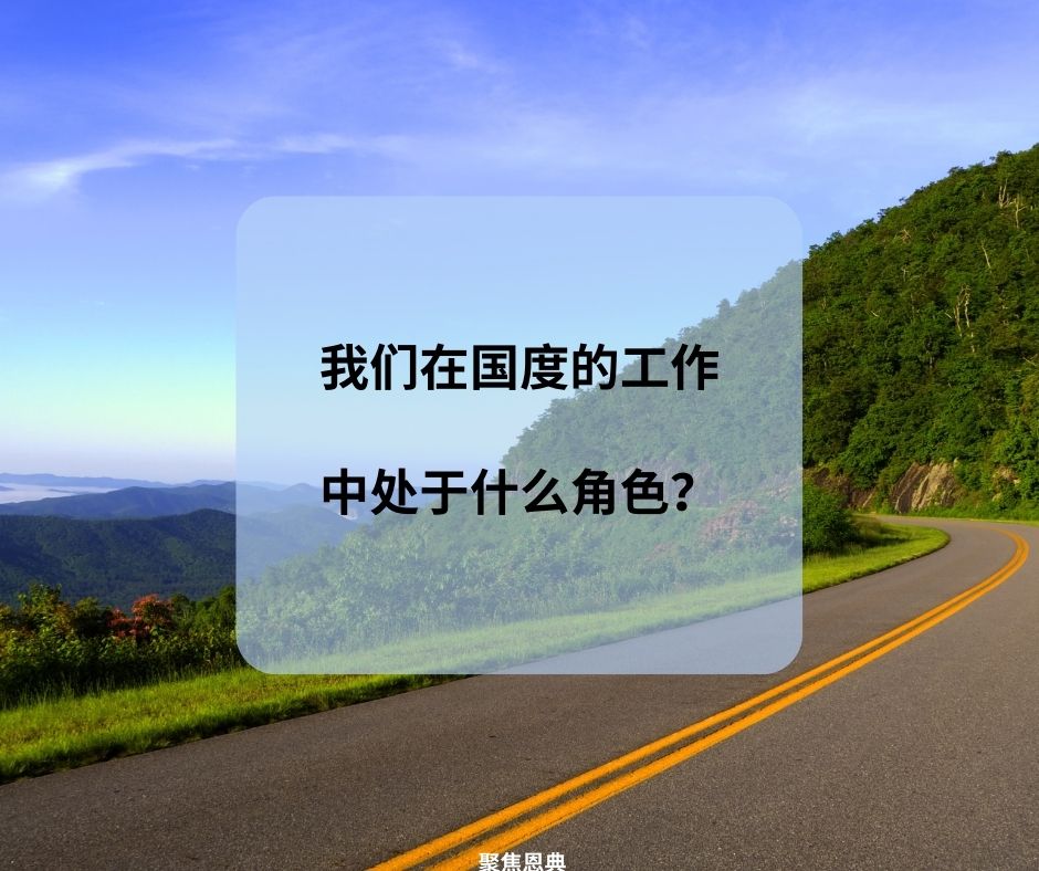 我们在国度的工作中处于什么角色？