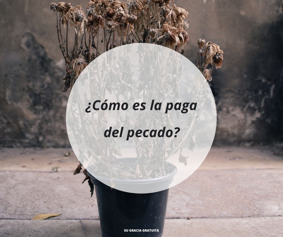 ¿Qué significa “paga” en Romanos