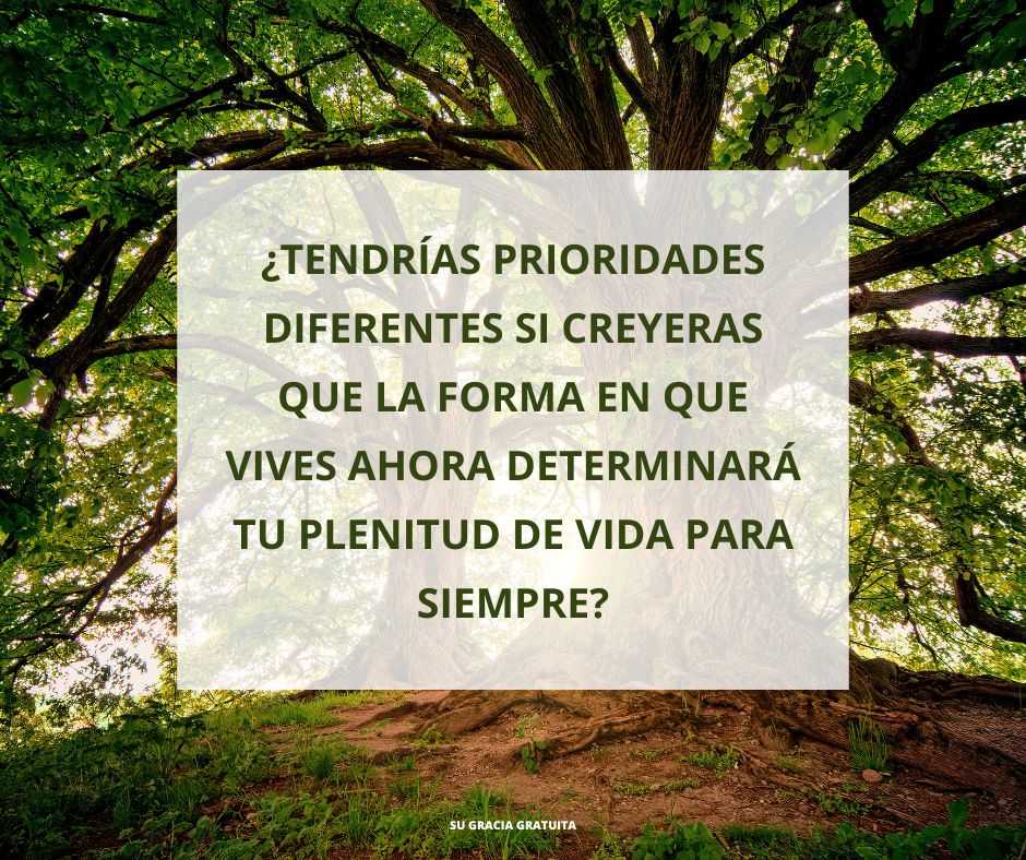 ¿Habrá ricos y pobres en el Reino de Jesús?