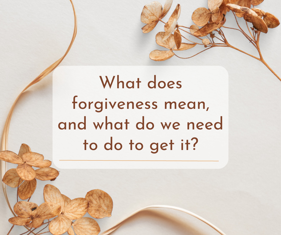 What does forgiveness mean , and what do we need to do to get it