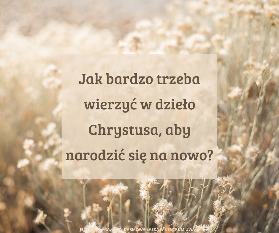 Rola Chrystusa w naszym zbawieniu