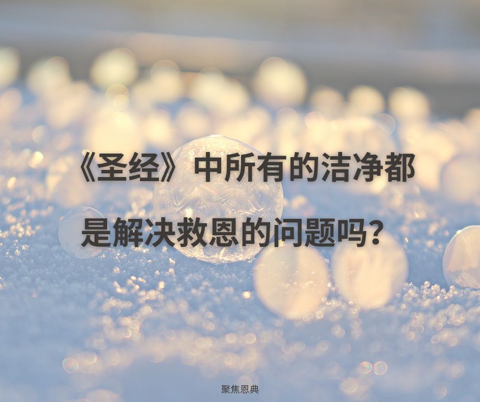 洗净我们的罪如同白雪是什么意思