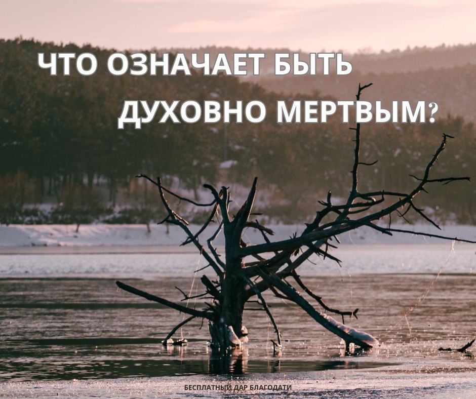 Как можно обладать свободой верить во Христа, но не иметь способности поверить в Него?