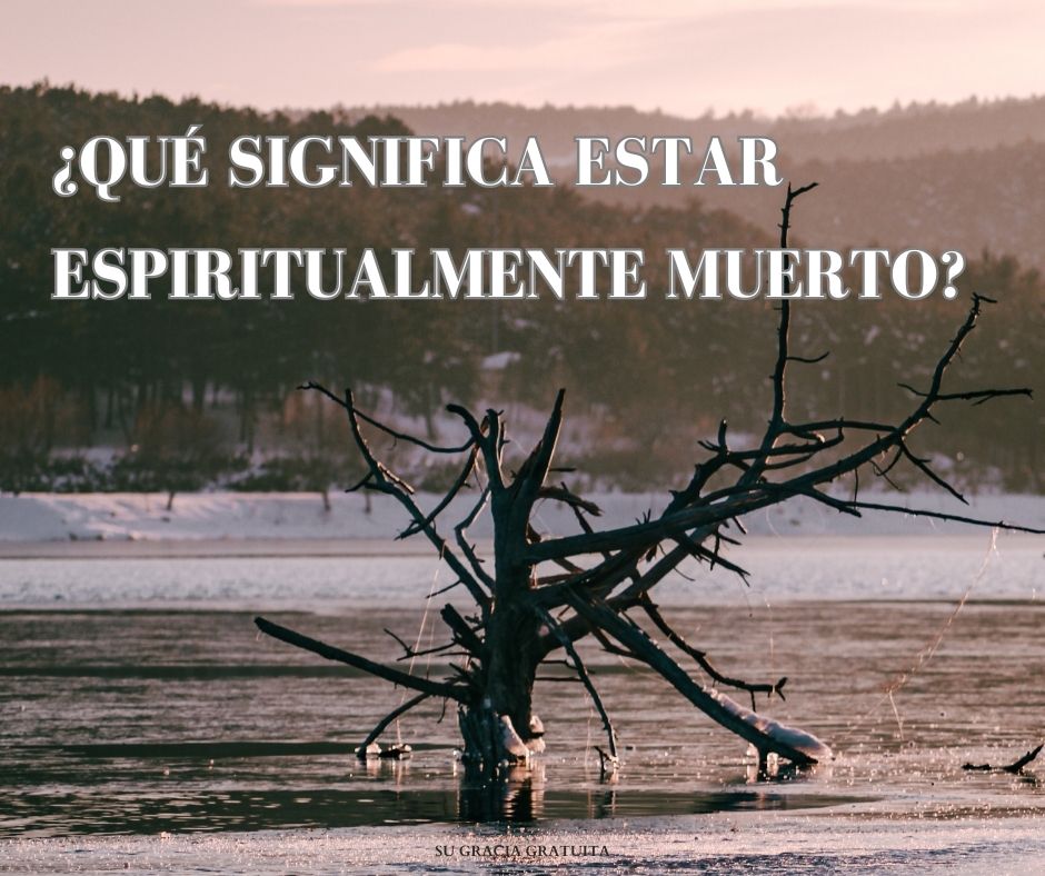 Cómo podemos ser libres para creer en Cristo