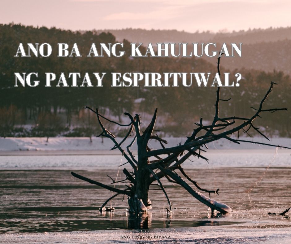 Añadir un subtítulo