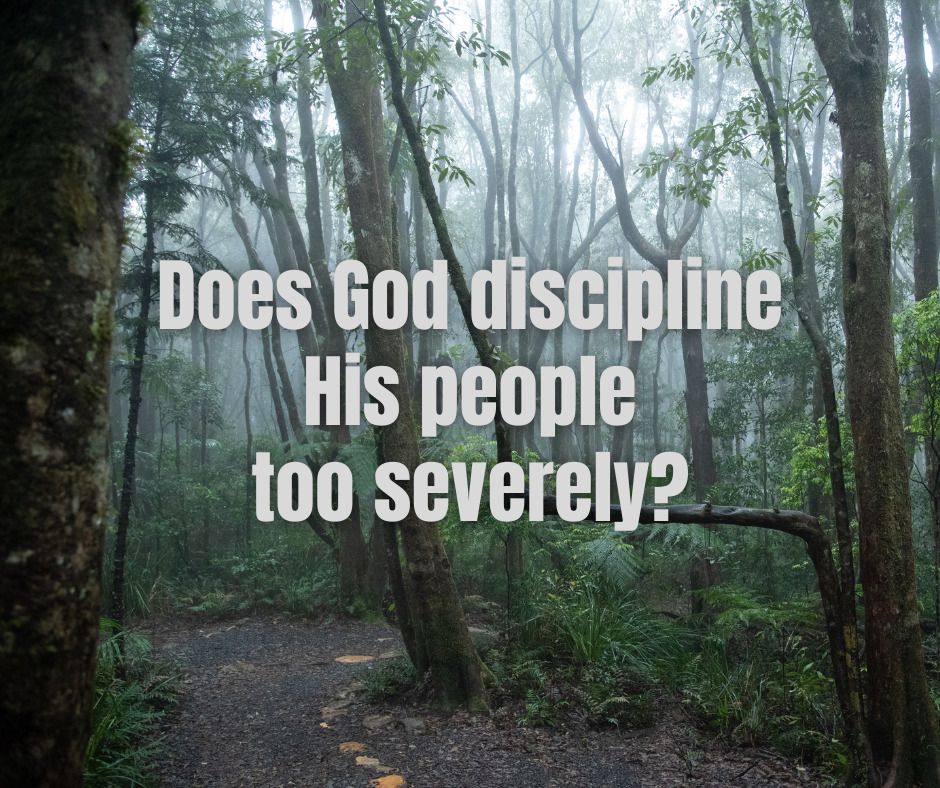 Does God discipline His people too severely