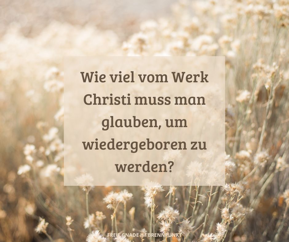 Die Rolle Christi bei unserer Errettung, Teil 2 – Das Werk Christi
