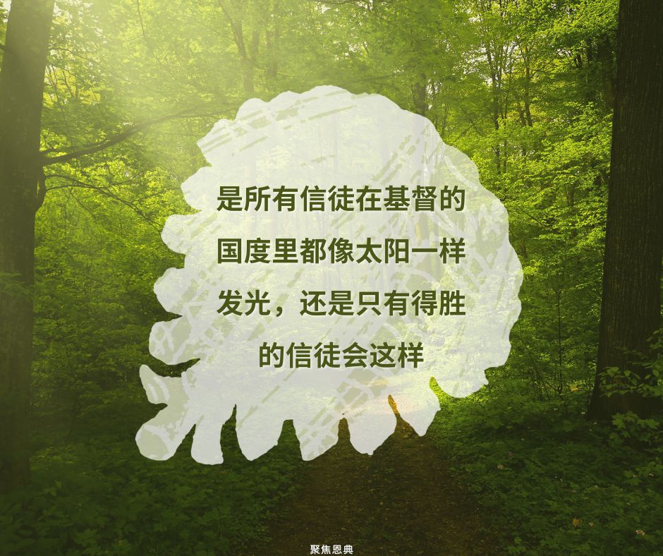 在麦子和稗子的比喻中谁是义人？《马太福音