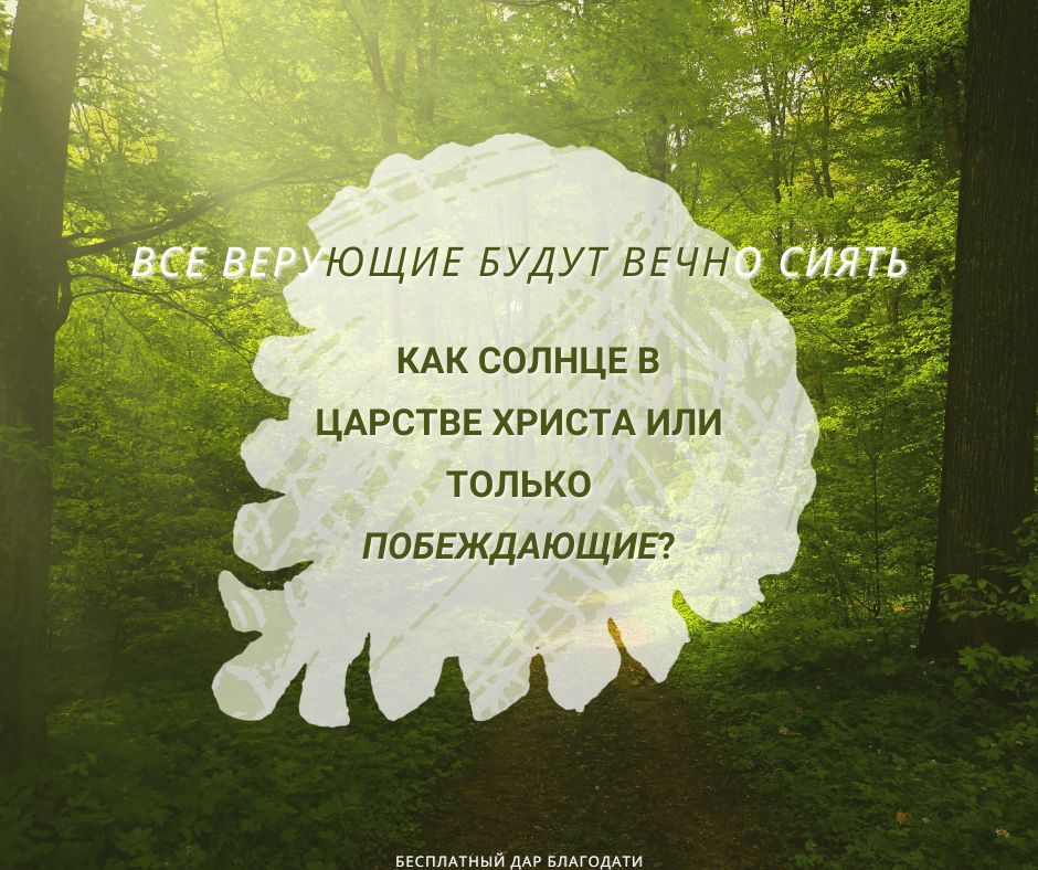 Кто такие праведники в притче о пшенице и сорняках