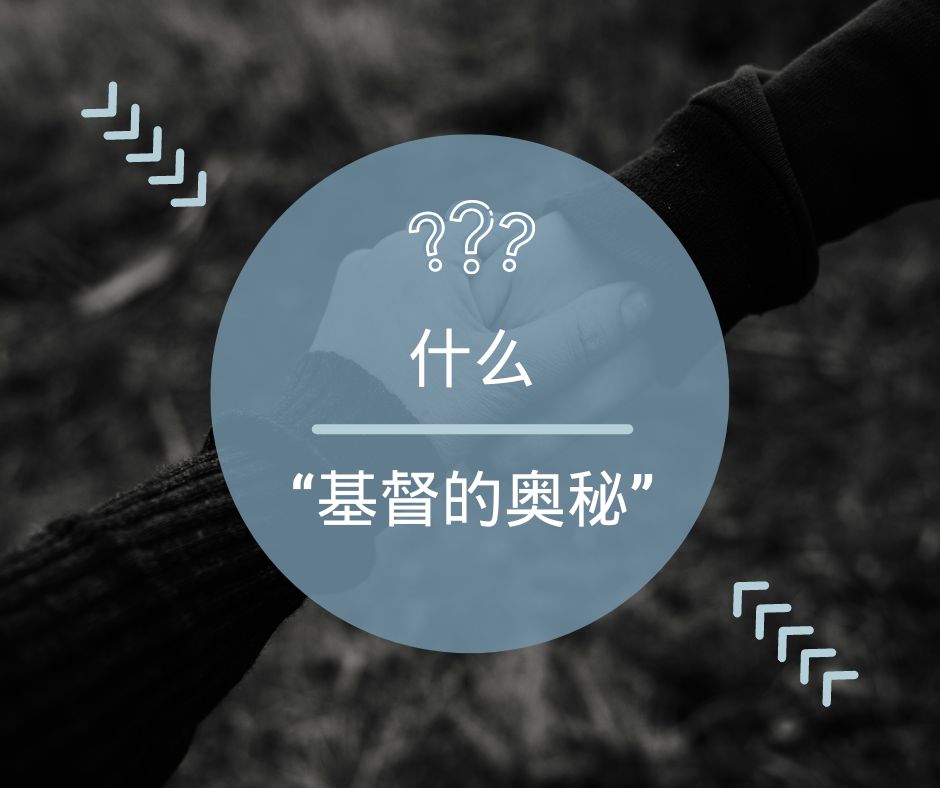 《旧约》中的什么奥秘，在《新约》中被揭示了?