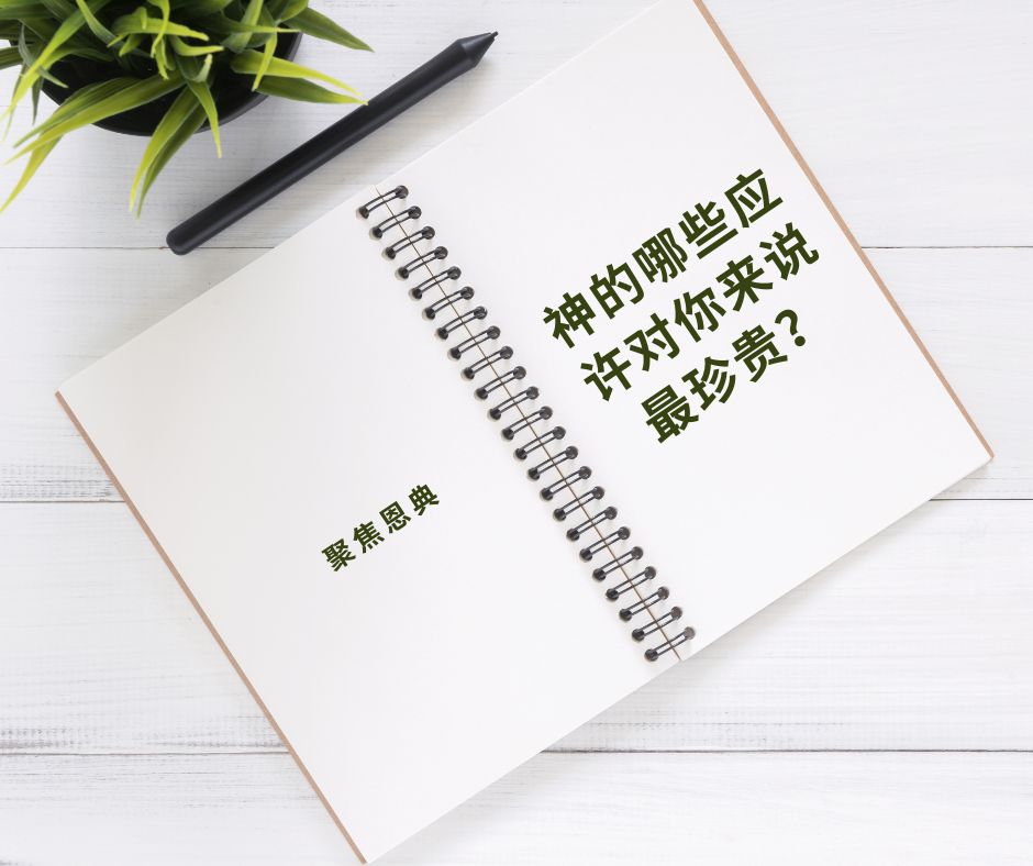 在保罗的书信中，什么是他心中最重要的应许